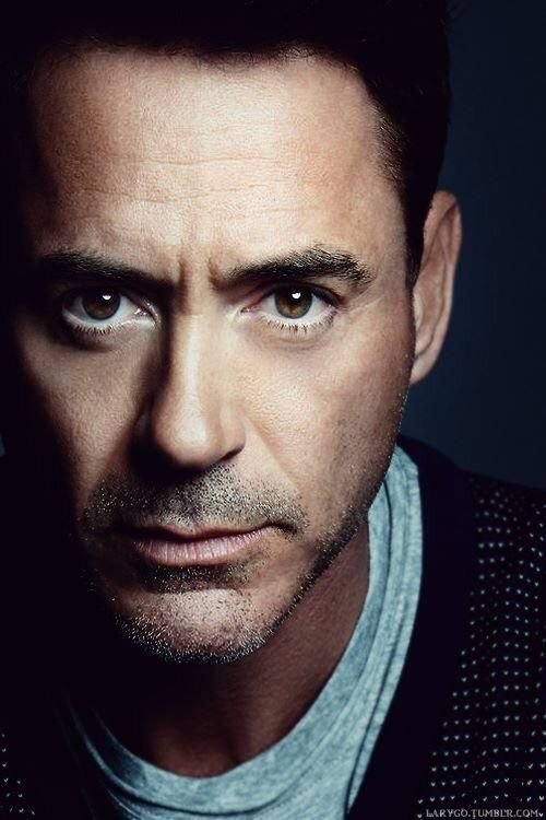 Robert Downey Jr. Biography Wiki, Age, Height, Wife, Net Worth, Family & More